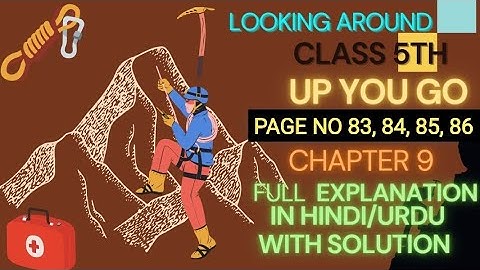 EVS|Looking Around|Class 5th Chapter 9|Up You Go! Page No.83,84,85,86 Full Explanation With Solution