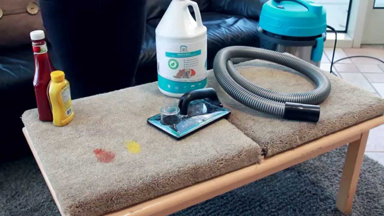 SOS Tool in Action: Removing Carpet Stains