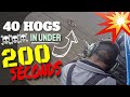 UNLEASHED: 40 HOGS IN 200 SECONDS - Pigman Hits the Motherload of Aerial Pork Insanity.