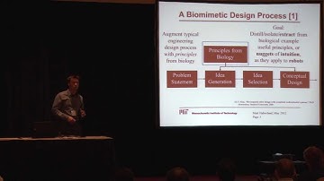 Extracting Principles from Biology for Application to Running Robots using Optimization