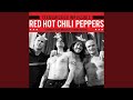 Taste the Pain/Back in Black (Live at Club Citta, Kawasaki, Japan 1990)