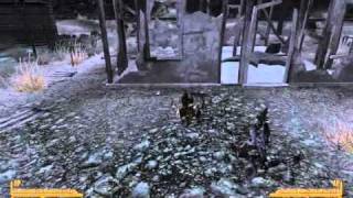 Famous Fallout: New Vegas-  Star Wars easter egg Profile