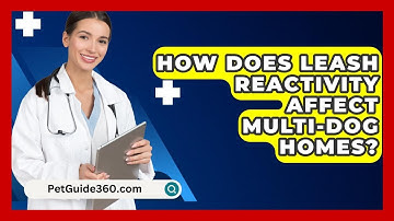 How Does Leash Reactivity Affect Multi-dog Homes? - PetGuide360.com