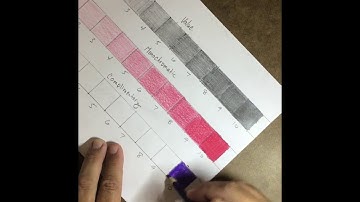 Monochromatic Value Scale