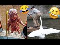 Best funnys   hilarious peoples life   try not to laugh  linh lan tv 