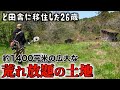 【2025年一発目の草刈り】倒壊した家&納屋に伸び放題の草木。お隣さんから譲り受けた土地が色々と訳ありすぎた?!