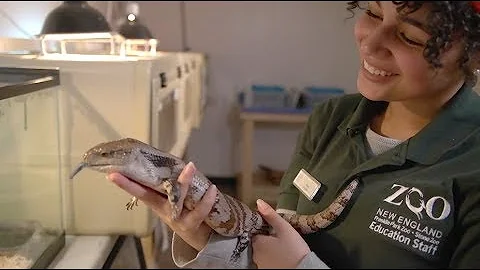 Conservation in Action