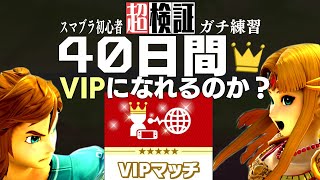 【超検証】初心者が40日かけたらVIPにいけるのか【完結編】スマブラSP