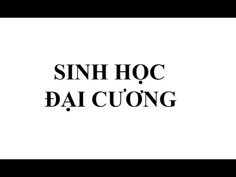 Video: RNA polymerase có phải là nhân tố phiên mã không?