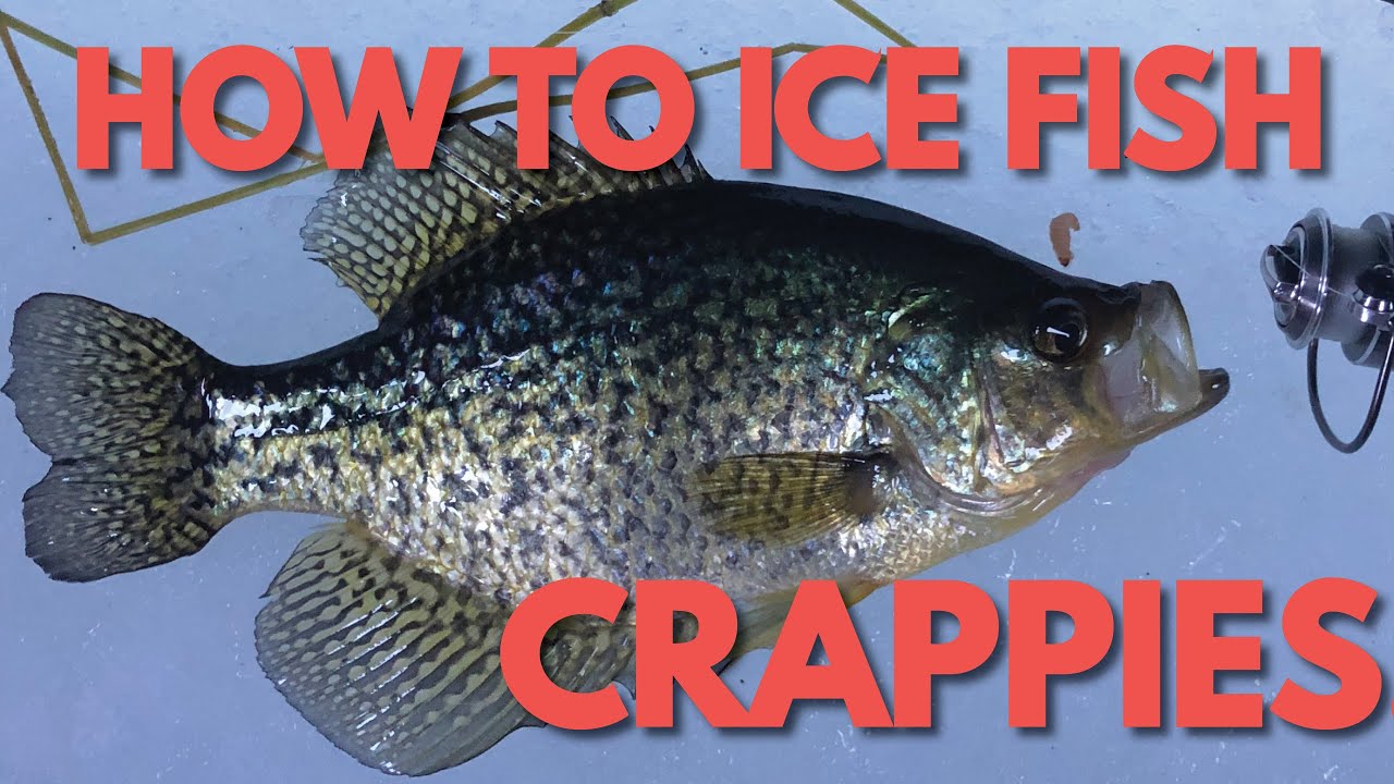 How to Ice Fish for Crappies - Ice Fishing Crappie Slabs 