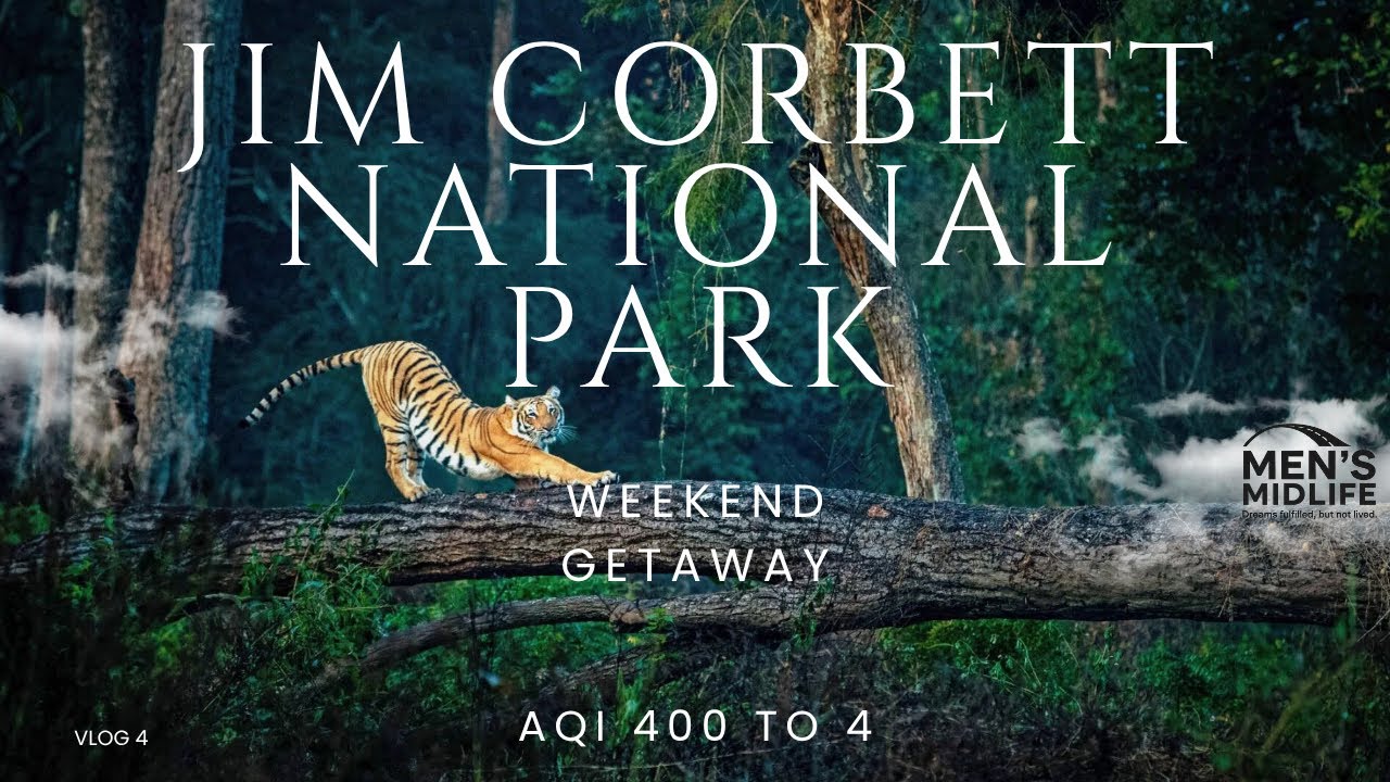 Delhi to Jim Corbett: A Wild Weekend to Escape Delhi Pollution | Tiger Encounter | National Park