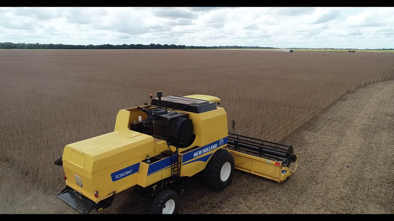 VIDEO DO PRIMEIRO DIA DE COLHEITA NA FAZENDA SANTA RITA 2020