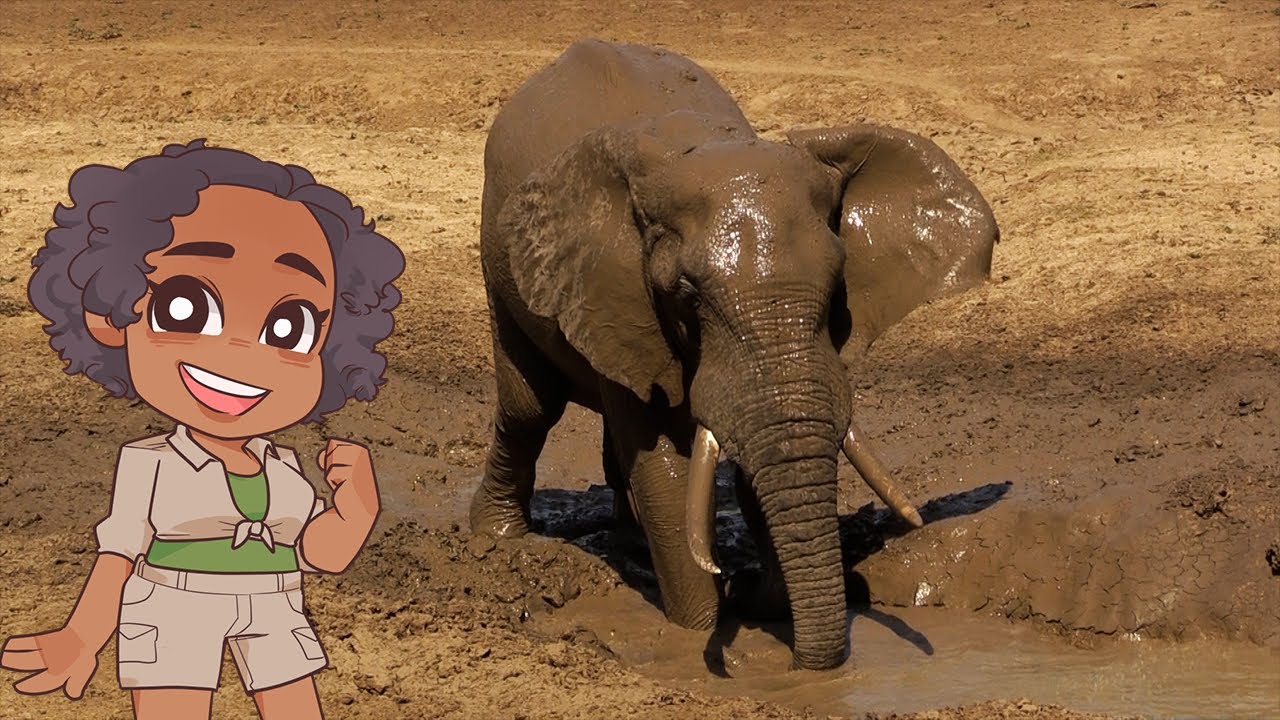 Inside the World of African Bush Elephants