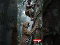 Imba's Close Call with a wild animal ! 😱 #wildlife