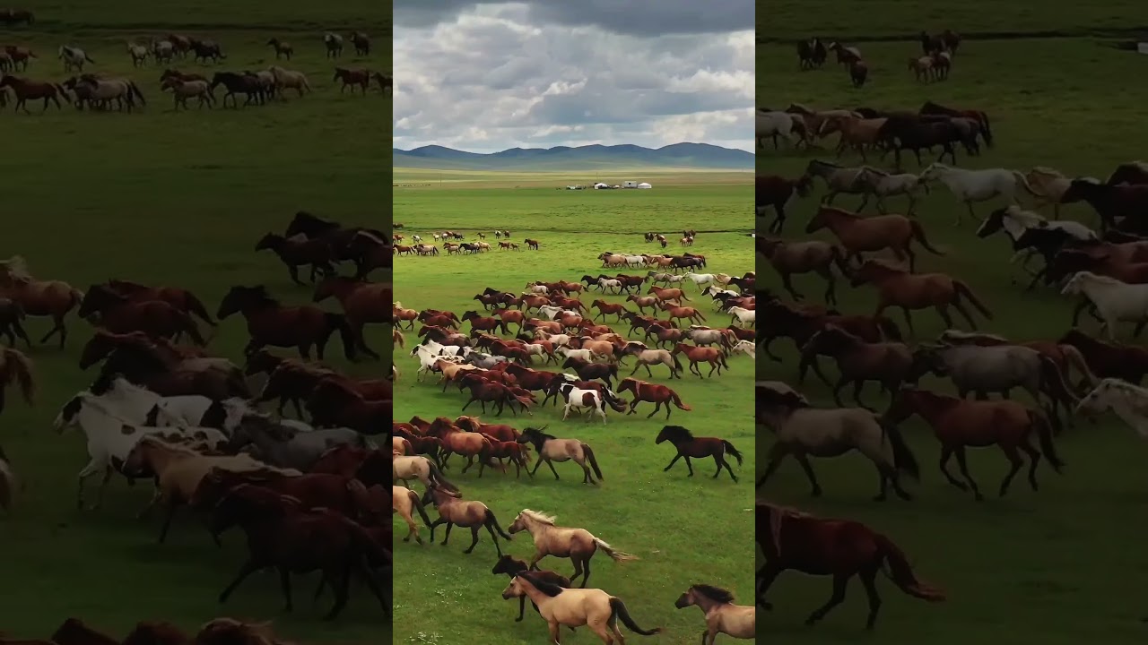 Mongolia: Where Vast Steppes and Nomadic Spirit Unveil a Timeless Landscape 