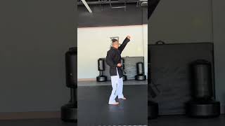 Pinan Shodan #shorinryu #karate #kata