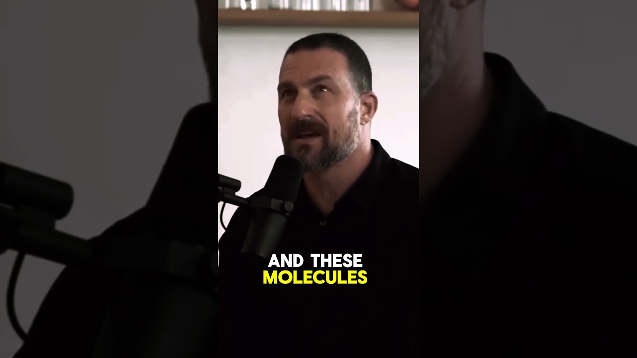 How Visualization and Meditation Can Unlock Your Brain's Motivation Power! 