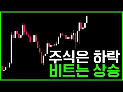 클래리티법 임박? 비트코인 홀로 상승합니다.