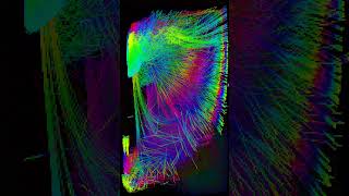 Pixel Swarmology — Hypnotic Particles with Motion Trails #psychedelic