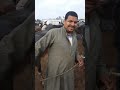 زحام شديد في سوق المواشي والقائم يبدأ من 195 جنيها و الأبقار أكثر طلبا