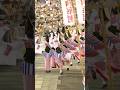 阿呆連 阿波おどり2025 阿波踊り #shorts