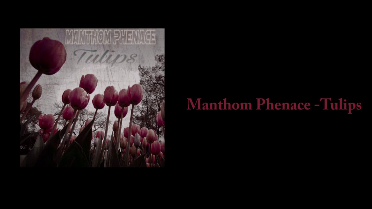 Ver Manthom Phenace - Tulips en YouTube Ver Manthom Phenace - Tulips en YouTube