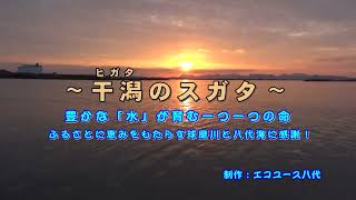 The Amazing Tidal Flat in Yatsushiro【ユース水フォーラム・九州】