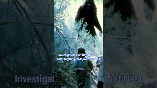 Investigators Find Bigfoot Nest