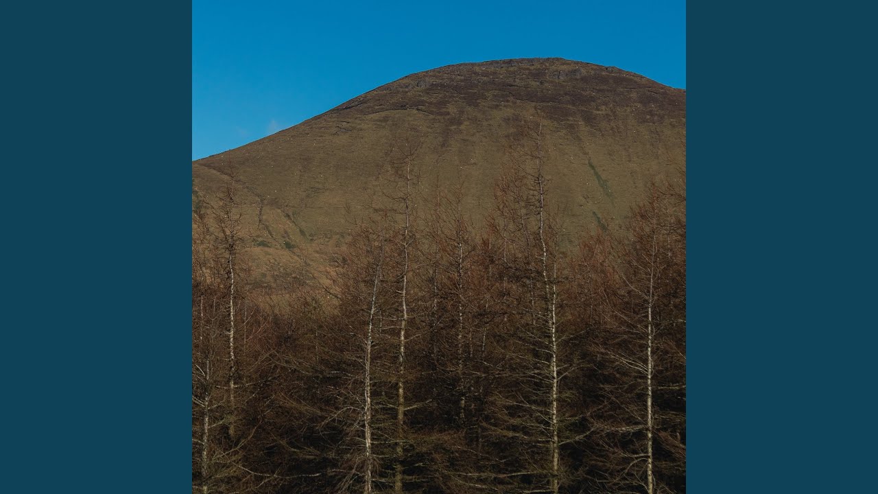 Paddy Mulcahy - Weave