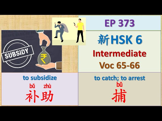[EP 373] New HSK 6 Voc 65-66 (Intermediate): 补助、捕 || 新汉语水平3.0中级词汇6 || Join My Daily Live