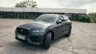 ASMR Luxury - Jaguar F Pace - Sounds of a Chilling Cat screenshot 1