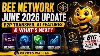 🚨 Bee Network June 2026 Update | P2P Transfer Testing, AI Upgrades & What's Next? 🐝