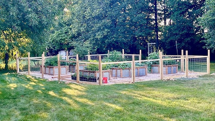 diy vegetable garden fence