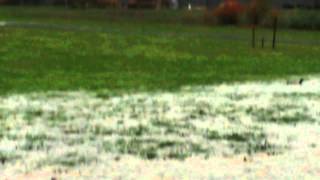 Geyser at John McLoughlin elementary school