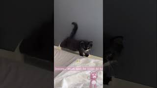 Sleep Is Good quotes About Life shorts