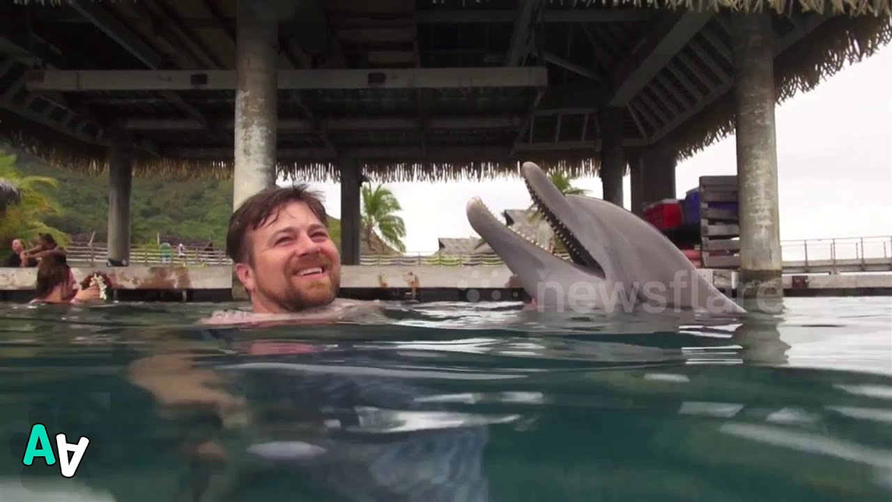 camera iphone 8 plus apk Tourists Have Incredible Experience Swimming with Dolphins