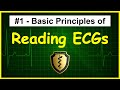 Ecgekg interpretation tutorial  episode 1  basic principles