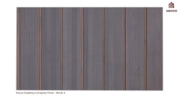 Vulcan Cladding in Protector - Graphite / Watch Me Weather