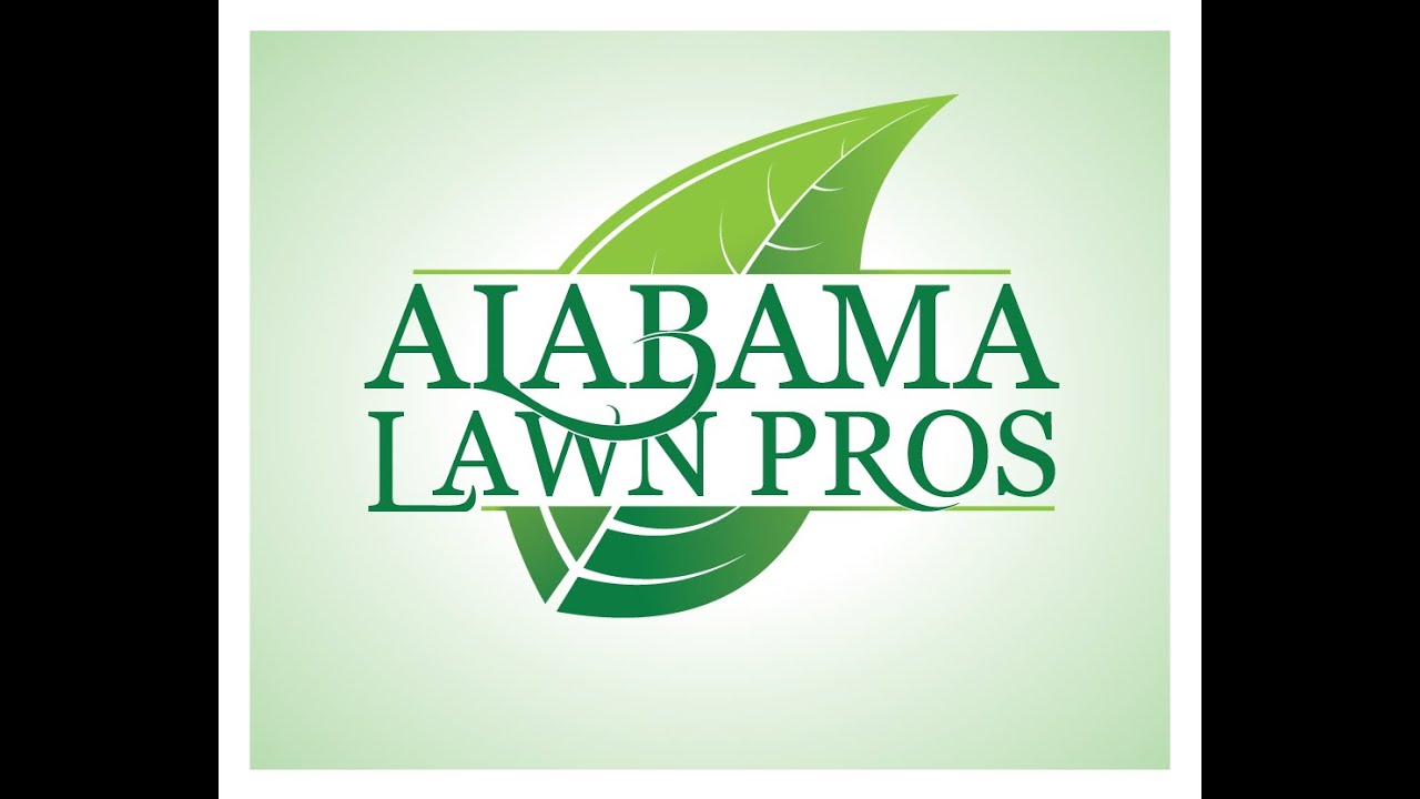 revealed my new lawn care logolove it or hate it