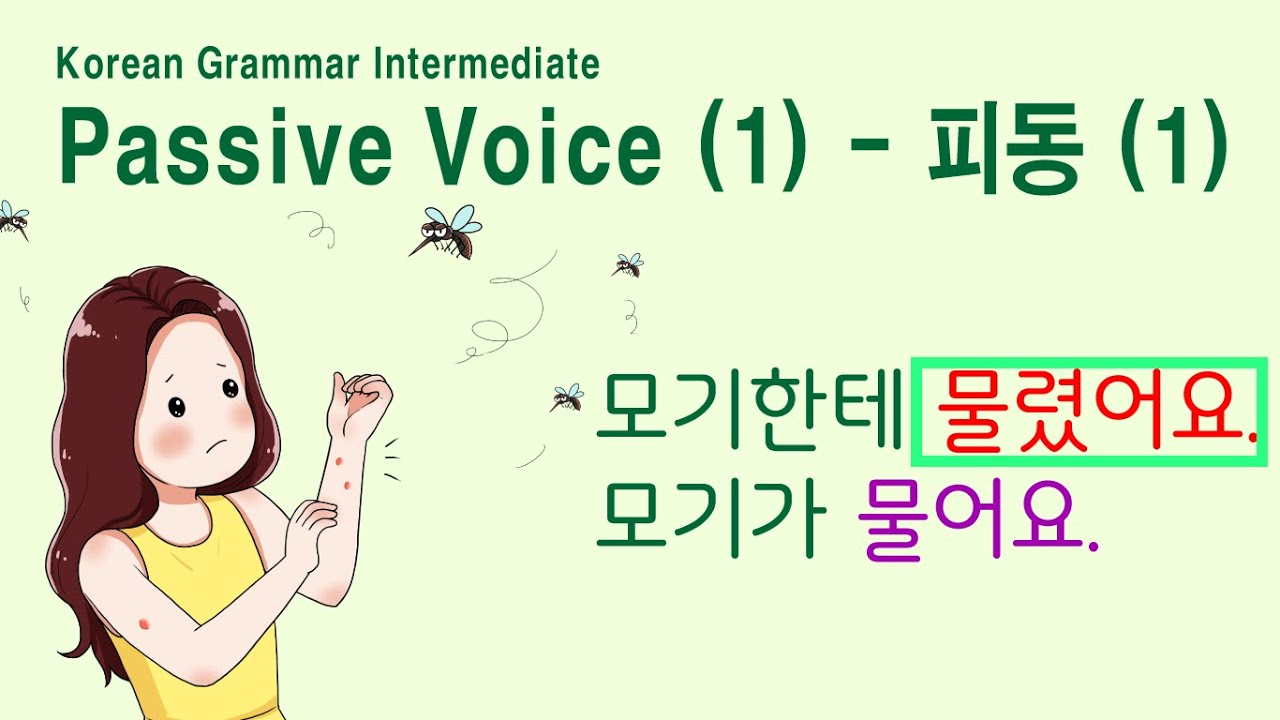 Korean Grammar Intermediate-level (140): Korean Passive Voice 1. 피동. 보이다. 들리다. 팔리다. 닫히다. 잡히다. 쫓기다.