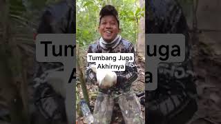 Berburu Pergam Putih