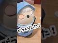 【ラボット】急に音がしなくなり驚きましたが...#LOVOT#ラボット#shorts