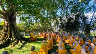 Pháp Đàm NIKAYA - Nhận Diện Ngũ Uẩn - Cách Tác Ý & Duyên Sanh Pháp