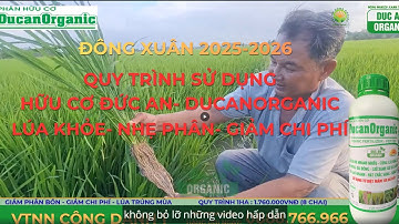 MỚI NHẤT Quy Trình Trọn Vụ ĐÔNG XUÂN 2025-2026 Hữu Cơ Đức An: Giảm 30% Chi Phí và Phân Bón