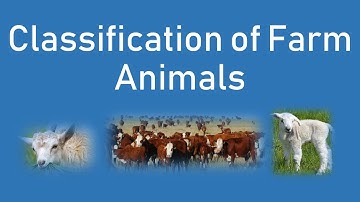 Classification of Farm Animals | Livestock | Animal Science