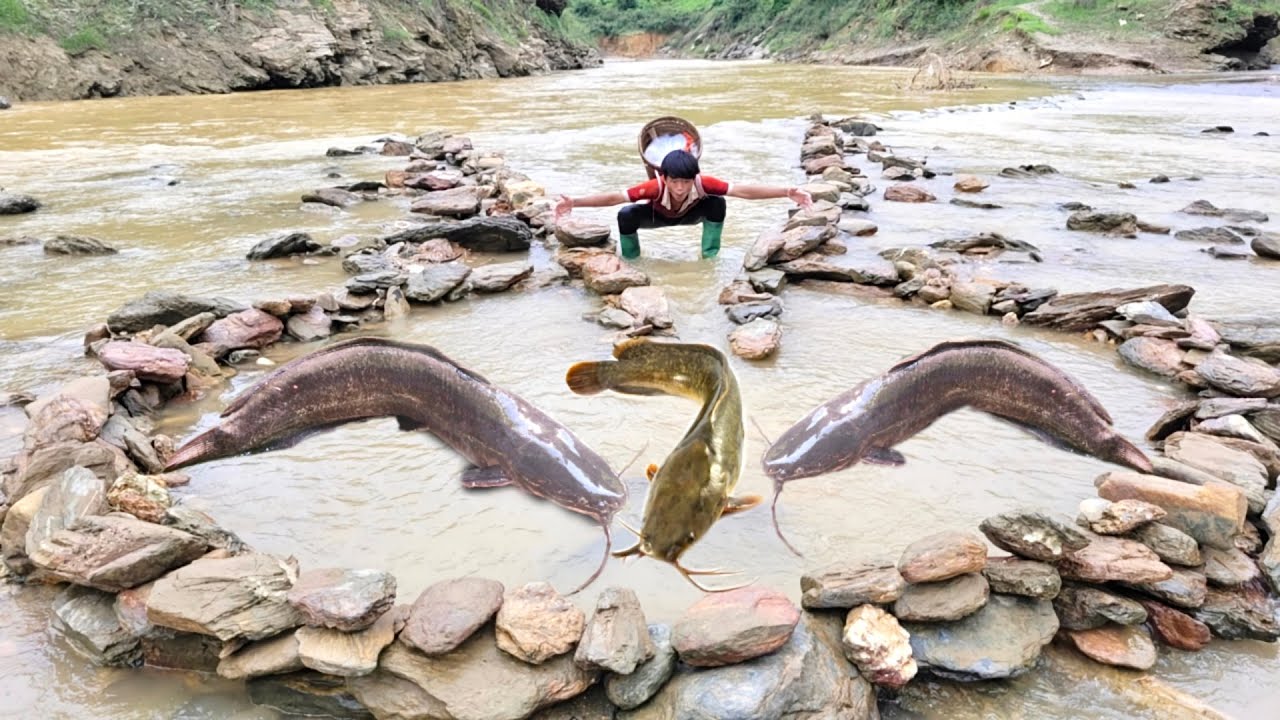 The boy arranged rocks to form a matrix trap in a large stream and ...