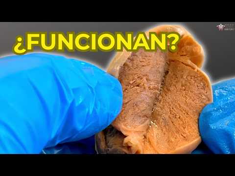De Verdad Sirven los potenciadores de TESTOSTERONA? thumbnail