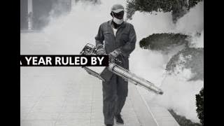 What will 2017 bring?