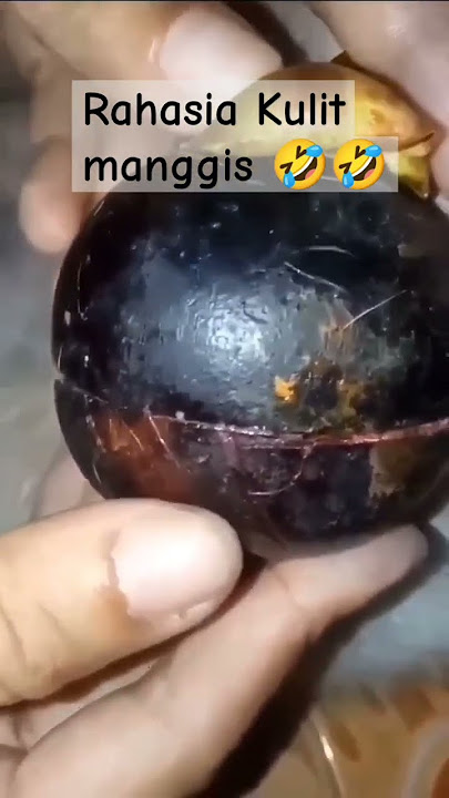 kabar gembira untuk kita semua kulit manggis kini ada extraknya #cararomel #ngakak #lucu