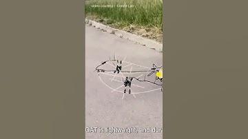 GOAT Robot: Mastering Any Terrain with Mind-Blowing Adaptation! 🤖🌍